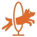 Orange dog jumping through a hoop.